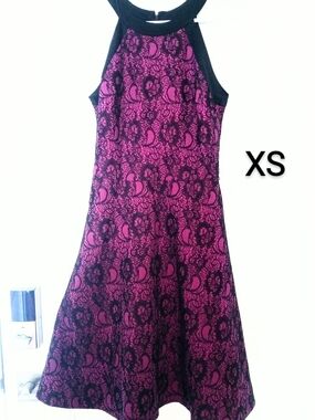 Women's Fuschia & Lace Dress
